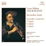 Recorder Concerto in C major, TWV 51:C1: Andante