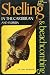 Shelling & Beachcombing in the Caribbean and Florida by Gary Magnotte