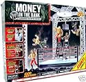 WWE Money in the Bank Ladder Match Ring