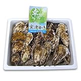 室津牡蠣 殻付き牡蠣２kg 漁師直送！朝取れ牡蠣 【幸永丸水産】 かき カキ 牡蠣