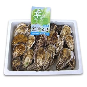室津牡蠣 殻付き牡蠣3kg 漁師直送!朝取れ牡蠣 【幸永丸水産】 かき カキ 牡蠣