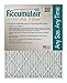 Accumulair FA11.88X16.88A Platinum 1 In. Filter&amp;#44; Pack Of 4