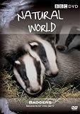 Natural World - Badgers - Secrets Of The Set