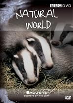 Natural World - Badgers - Secrets Of The Set [DVD]