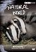 Natural World - Badgers - Secrets Of The Set [DVD]