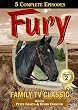 Fury Vol. 2