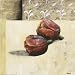 Lost Tulips by Brita Linius Fine Art Print / Poster 27.50 x 27.50 in. Image