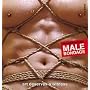 Male Bondage by Van Darkholme