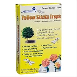 5 Yellow Sticky Traps -Protect your Plants,Indoors/Out