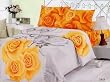 Le Vele Sara - Duvet Cover Bed in Bag - King Bedding Set - LE187K Le Vele Sara - Duvet Cover Bed in Bag - King Bedding Set - LE187K