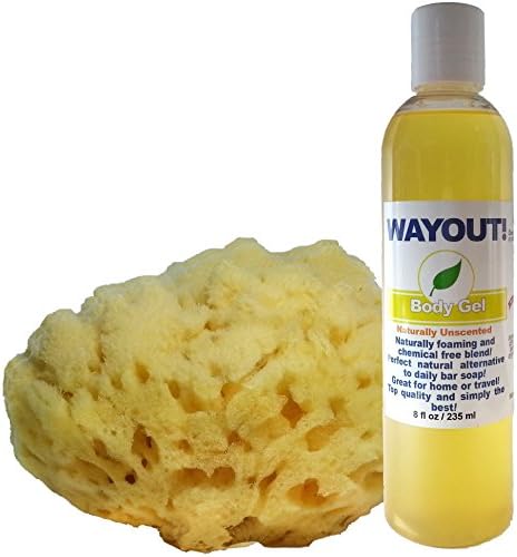 Wayout! All Natural Body Wash Kit - 1 All Natural Shower Bath Body Gel 8oz Bottle with Aloe &amp; Rosemary and 1 Natural Sea Sponge Loofa