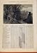Country Scene River 1879 March Events Diary Old Print