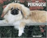 Just Pekingese 2008 Calendar (Just)