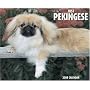 Just Pekingese 2008 Calendar (Just)