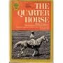 The Quarter Horse