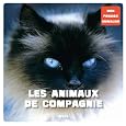 D&eacute;tails sur le produit