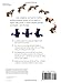 Beginner's Guide to Animation