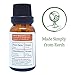 Simply Earth Ginger Essential Oil by (Ginger Root) - 15 ml, 100% Pure Therapeutic Grade