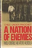 A nation of enemies : Chile under Pinochet