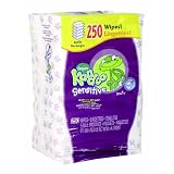 Pampers Kandoo Flushable Wipes, Sensitive, 250-Count Refills (Pack of 4)