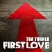 Never Say Never (Dub Mix) (feat. Joel Turner)
