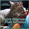 View ratings for Native American Flute Lullabies