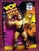 Search : WWF The Giant Pulsating Wrestling Action Figure WCW WWE ECW NWO