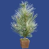 26 Icy Sage Pine Christmas Tree in Brown Pot - Unlit