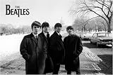 The Beatles - White House Poster (91 x 61cm)