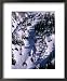 Aerial View of Taos Ski Valley, Taos, New Mexico, USA Lonely Planet Collection Framed...