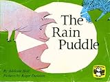 The rain puddle