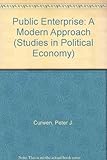 Public enterprise : a modern approach