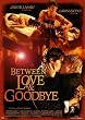 Between Love & Goodbye (OmU)
