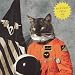 Surfing The Void [VINYL]