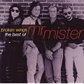 Broken Wings: the Best of Mr.Mister