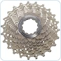 Cassettes & Freewheels