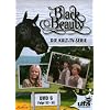 Black Beauty, Teil 06