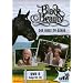 Black Beauty, Teil 06