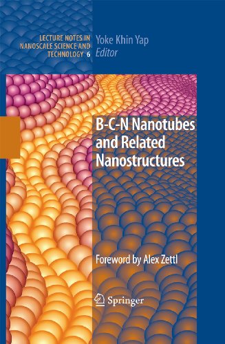 B-C-N Nanotubes and Related Nanostructures: 6 (Lecture Notes in Nanoscale Science and Technology)