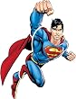 Superman "Day of Doom" Peel & Stick Giant Wall Mural Applique
