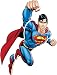 Superman "Day of Doom" Peel & Stick Giant Wall Mural Applique