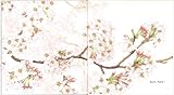 さくら (かがくのとも絵本)-