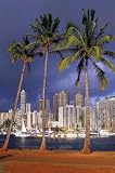 Honolulu Palm Trees, Hawaii by Scott Berner,14 in. x 21 in.