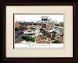 Florida Gators Swamp Framed Alumnus Lithograph