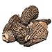 Dried Morels Mushrooms - 1 oz. Life Gourmet Shop