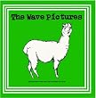 The Wave Pictures