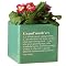 Cube Planter "Grandmother" - Green (6")