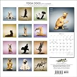 Yoga Dogs 2010 Wall Calendar