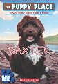 Baxter (The Puppy Place)
