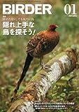 BIRDER 2013年 1月号 [雑誌]